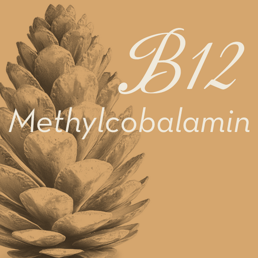 B12 Shot  |  Methylcobalamin  |  Ozarks Hydration & Frequency